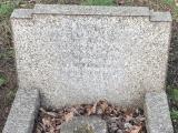 image of grave number 784593